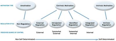 Faculty support and students’ academic motivation
